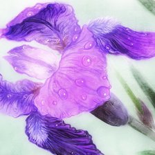 Схема вышивки «ирис»