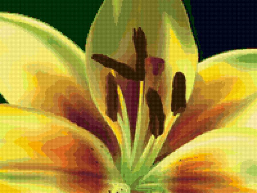 лилия - лилия, цветы - предпросмотр