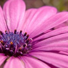 Схема вышивки «цветочек»