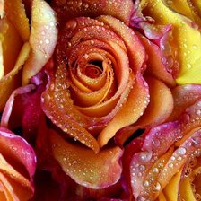 Схема вышивки «розы»