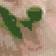 Предпросмотр схемы вышивки «рик» (№67513)