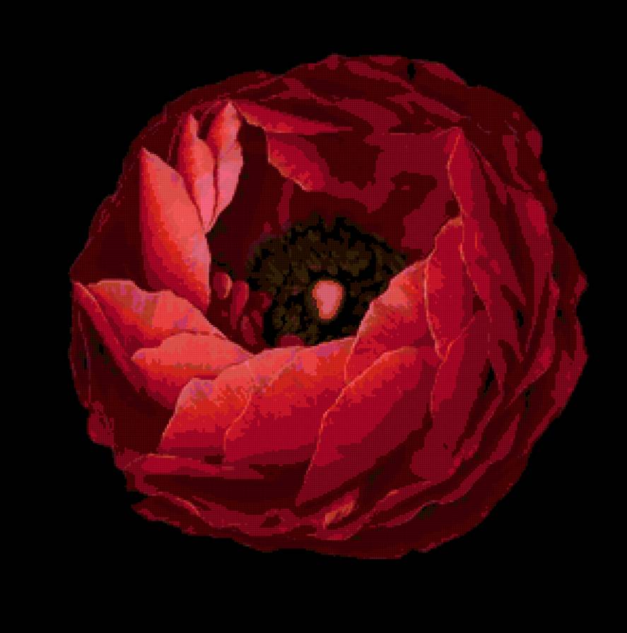 №67558 - подушка, картина, маки, цветы, красное - предпросмотр