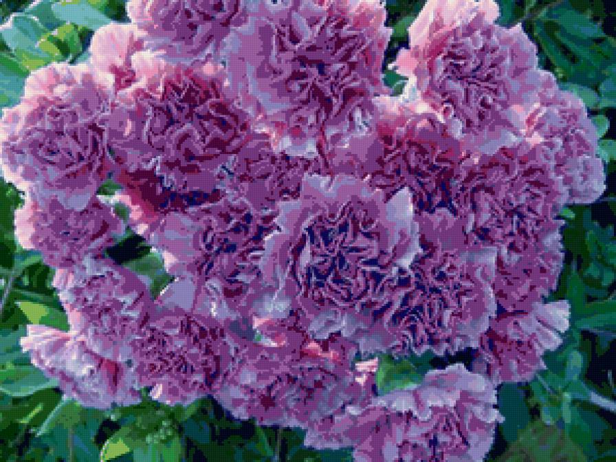 №67572 - подушка, картина, цветы - предпросмотр