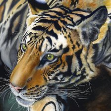 Схема вышивки «№67772»