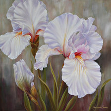 Схема вышивки «Ирис»