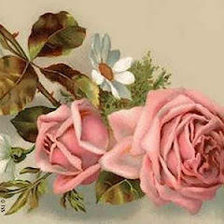 Схема вышивки «№67881»