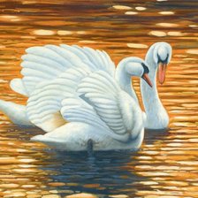 Схема вышивки «Лебединая верность»