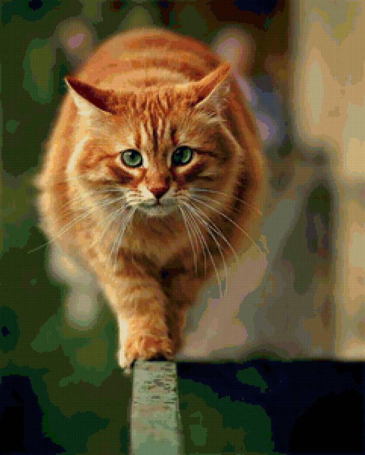 Рыжий - звери, животные, кошка - предпросмотр