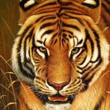 Схема вышивки «Кошки»