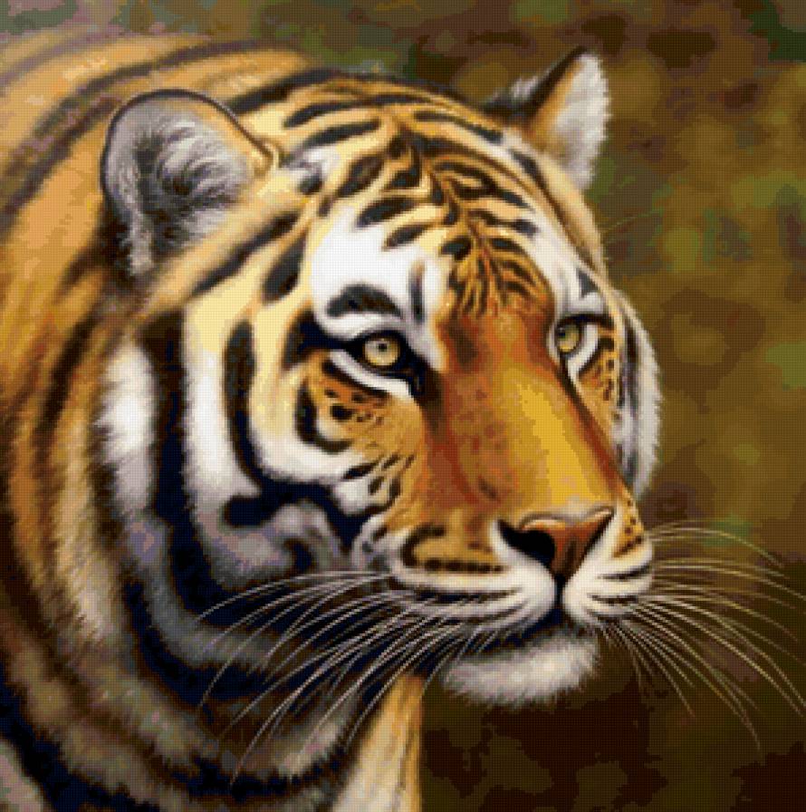 Кошки - кошки - предпросмотр