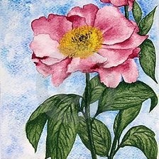 Схема вышивки «cvety»