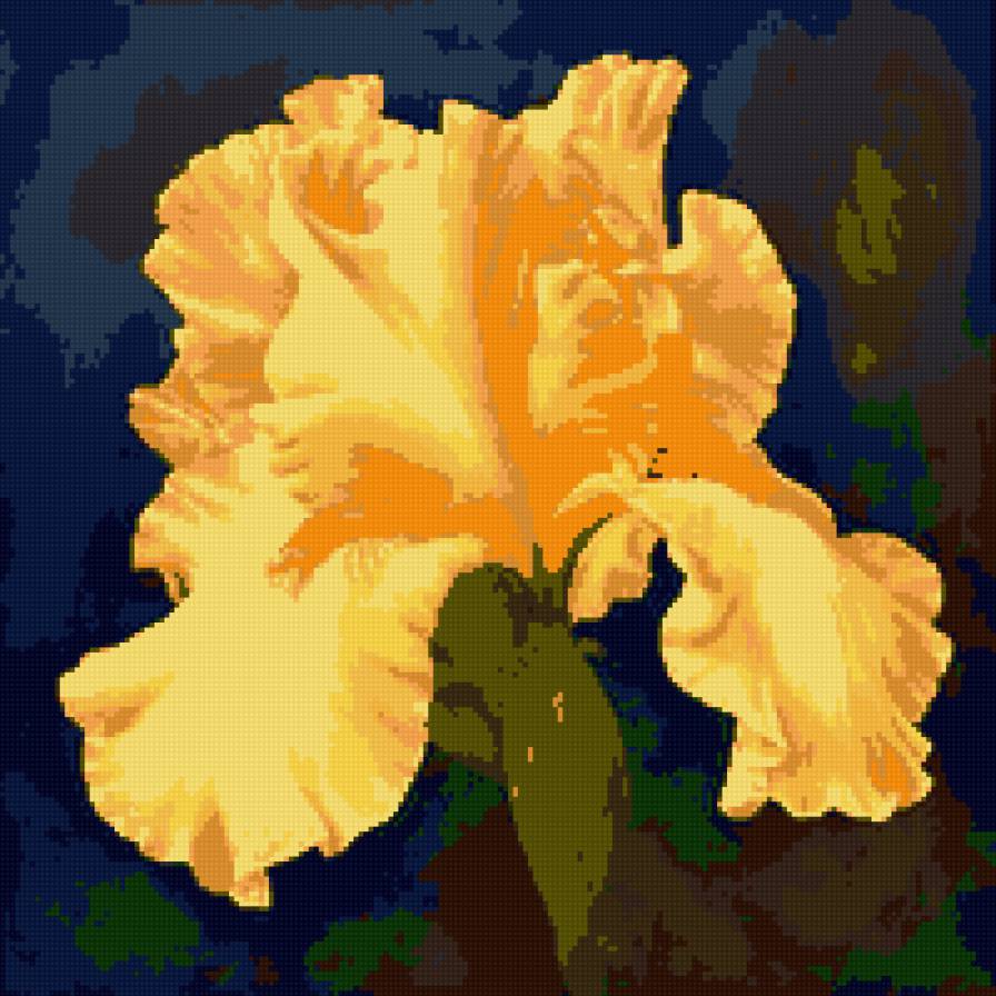 iris - flower - предпросмотр