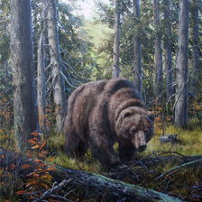 Схема вышивки «Медведь»