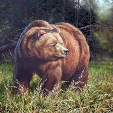 Схема вышивки «Медведь»