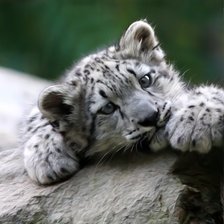 Схема вышивки «№68304»