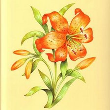 Схема вышивки «лилия»