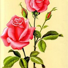 Схема вышивки «розочки»