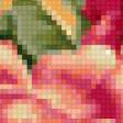 Предпросмотр схемы вышивки «розы» (№68352)