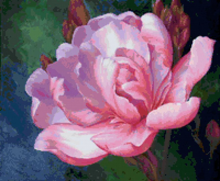 розовый цветок - цветы - предпросмотр