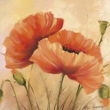 Схема вышивки «маки»