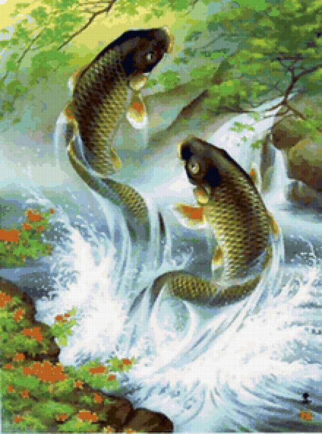 рыбки - предпросмотр