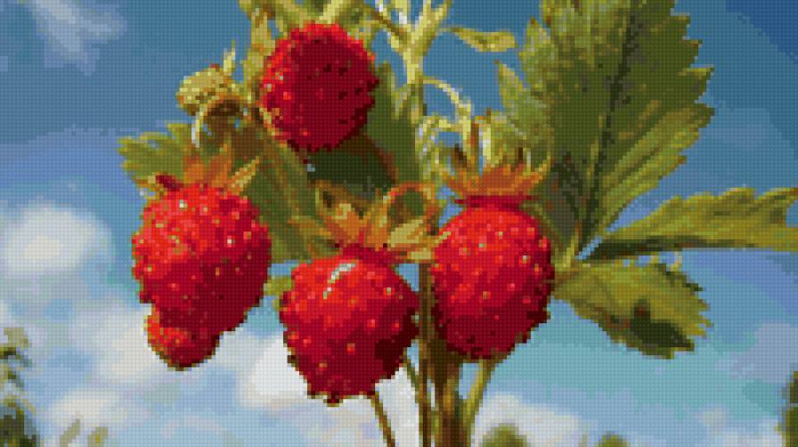 земляника - ягоды - предпросмотр