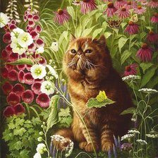 Схема вышивки «Кот и цветы»