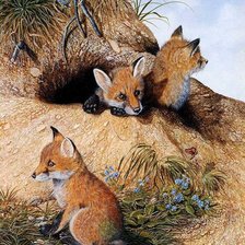 Схема вышивки «лисята»