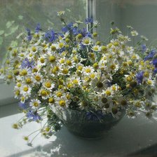 Схема вышивки «ромашки на подоконнике»