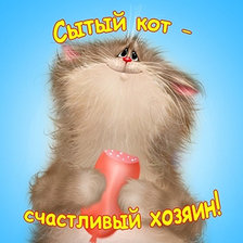 Схема вышивки «котик»