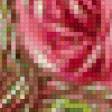 Предпросмотр схемы вышивки «розы» (№69039)