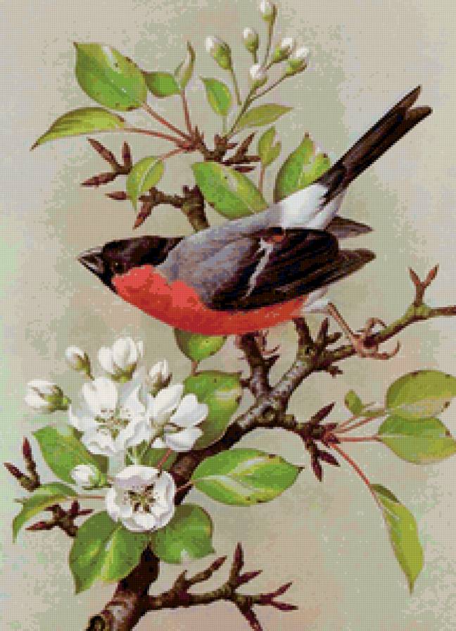 птичка на ветке - птица - предпросмотр