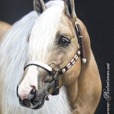 Схема вышивки «№69130»