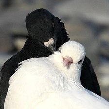 Схема вышивки «<3»