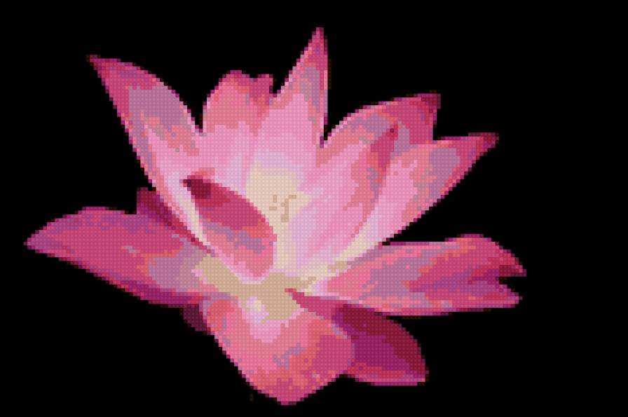 лотос - предпросмотр