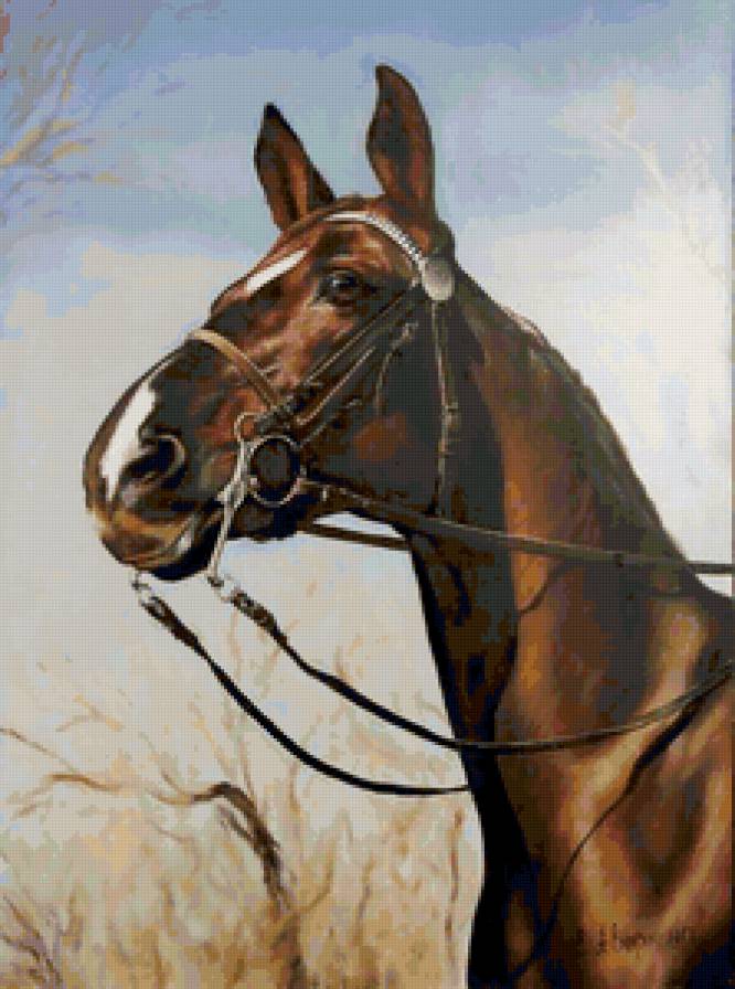 Красавец - живопись, жеребец, елена аверкина, животные, лошади, картина - предпросмотр