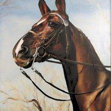 Схема вышивки «Красавец»