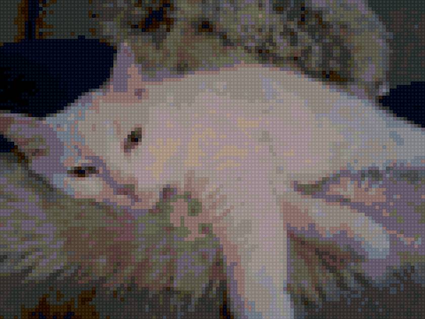 Белая кошечка - коты, кошки - предпросмотр