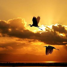 Схема вышивки «восход»