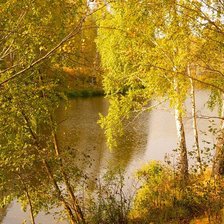 Золото осени