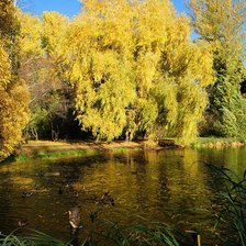 Схема вышивки «Осень»