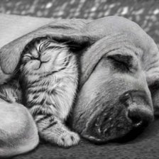 Схема вышивки «друзья»