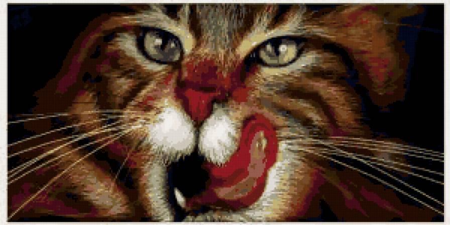 киса-киса - кот, животные, взгляд, глаза - предпросмотр