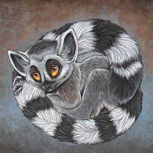 Схема вышивки «кошачий лемур»