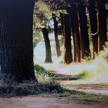 Схема вышивки «лес»