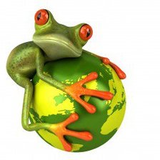 Схема вышивки «лягуха»