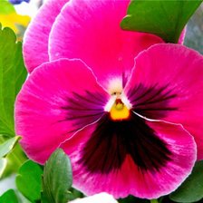 Схема вышивки «**»