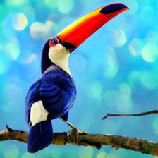 Схема вышивки «тукан»