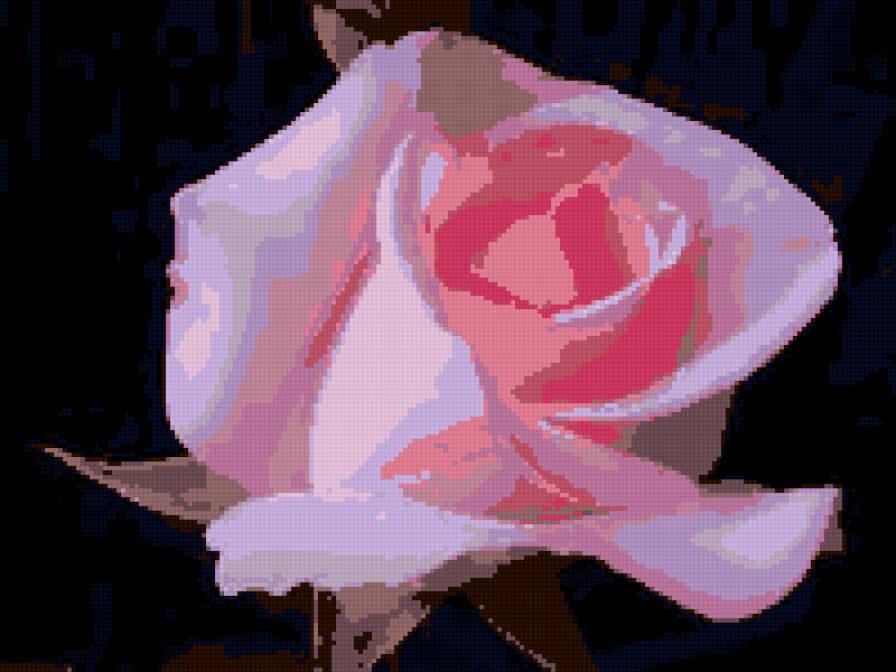 Роза - предпросмотр