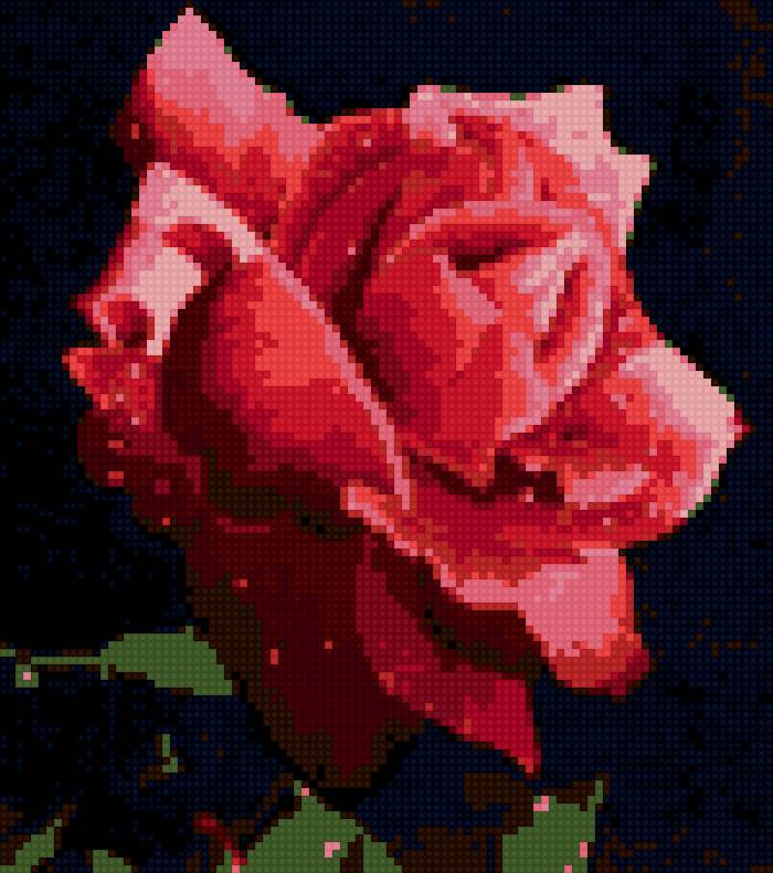 Роза - предпросмотр